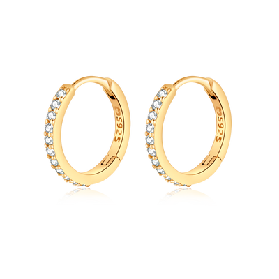 Elegant Glasé Earrings